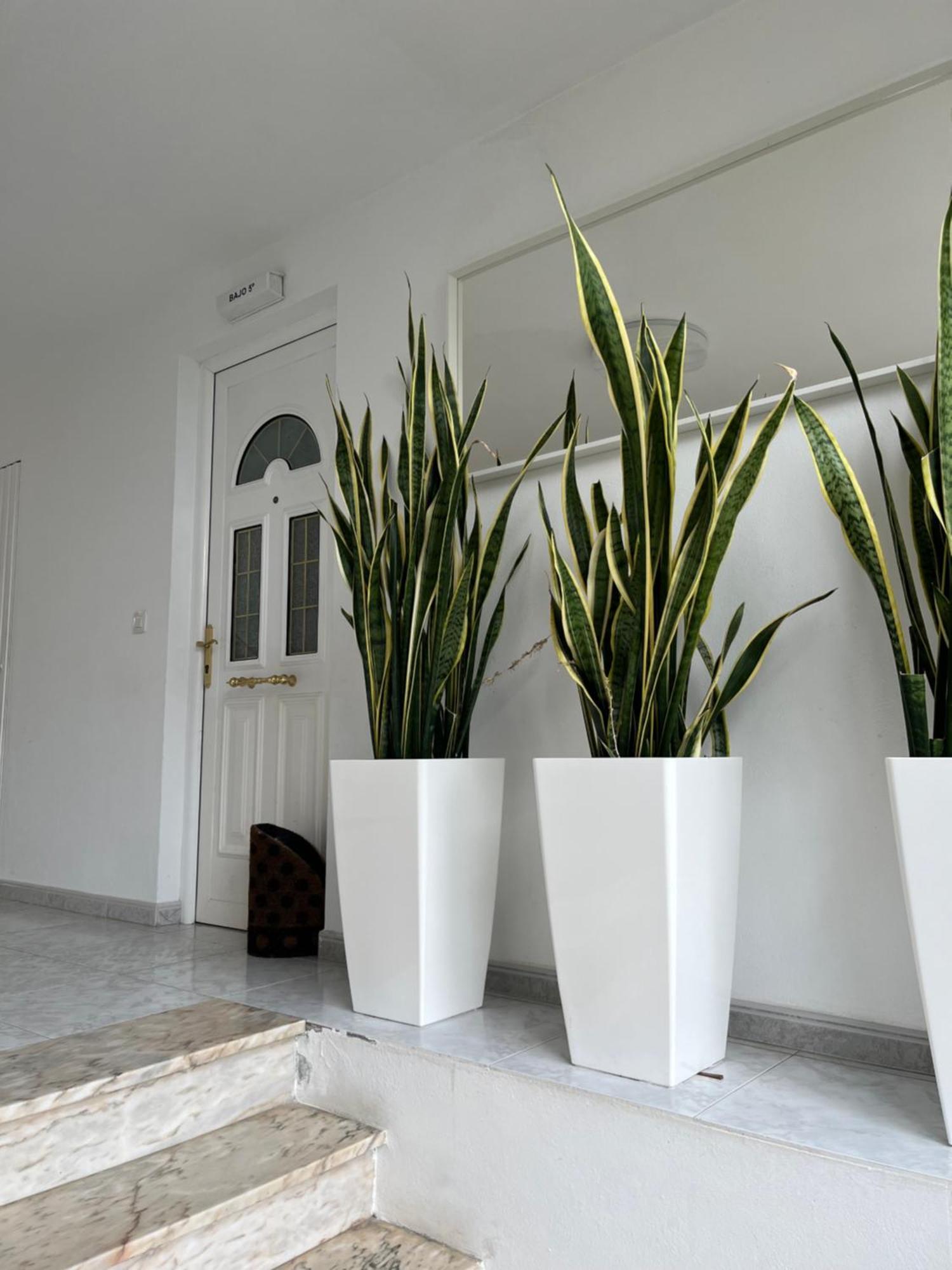 Apartamento En Sardineiro, Finisterre B5 Εξωτερικό φωτογραφία